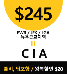 NY-CIA