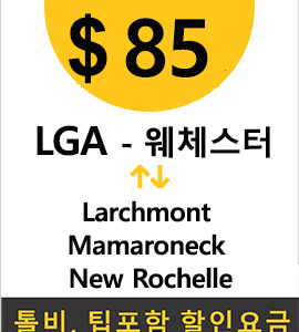 LGA-New rochelle