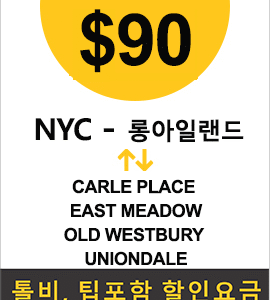 맨하탄-Carle Place